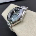 Omega Seamaster Seahorse 600m Medium – product image 1