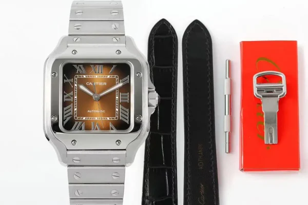 Cartier Santos Cartier Brown product image 1