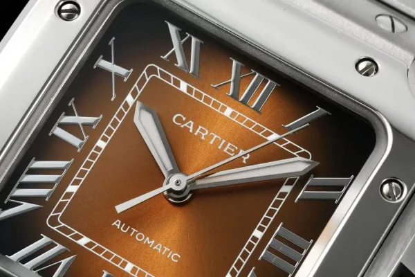 Cartier Santos Cartier Brown product image 2